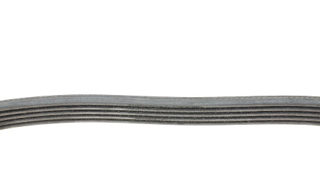 Фото 2 - Ремінь приводний Continental 5PK705 ELAST (5PK705ELAST)