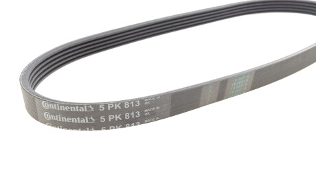 Фото 2 - Ремень приводной Continental 5PK813