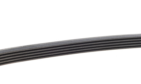 Фото 3 - Ремень приводной Continental 5PK813