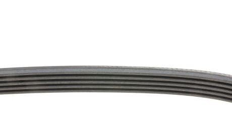 Фото 2 - Ремень приводной Continental 5PK830