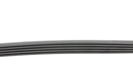 Фото 2 - Ремінь приводний Continental 5PK865