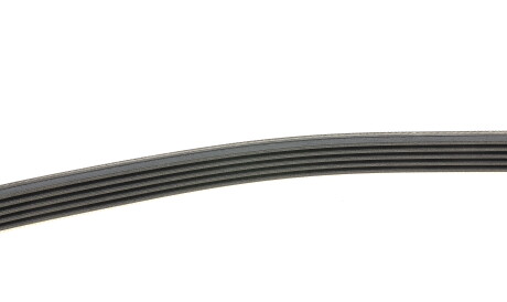 Фото 2 - Ремень приводной Continental 5PK869