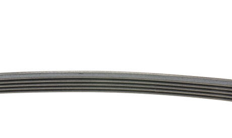 Фото 2 - Ремінь приводний Continental 5PK875