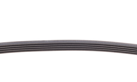 Фото 3 - Ремень приводной Continental 5PK884