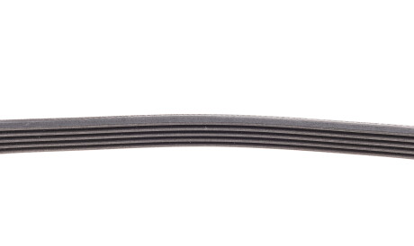 Фото 3 - Ремінь приводний Continental 5PK906