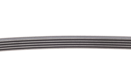 Фото 3 - Ремень приводной Continental 5PK925