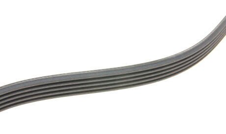 Фото 3 - Ремень приводной Continental 5PK934