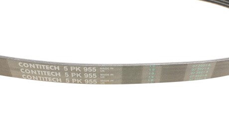 Фото 2 - Ремень приводной Continental 5PK955