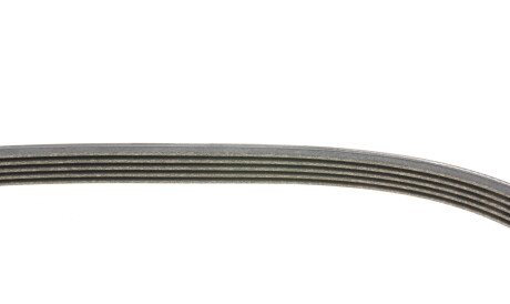 Фото 3 - Ремень приводной Continental 5PK955