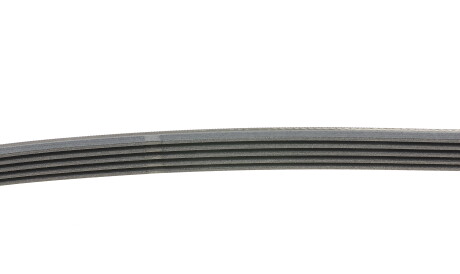 Фото 2 - Ремінь приводний Continental 5PK962