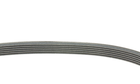 Фото 5 - Ремінь приводний Continental 6PK1005