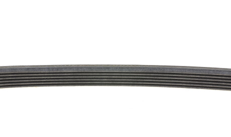 Фото 2 - Ремінь приводний Continental 6PK1019 ELAST (6PK1019ELAST)