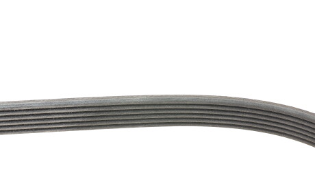 Фото 2 - Ремень приводной Continental 6PK1033 ELAST (6PK1033ELAST)