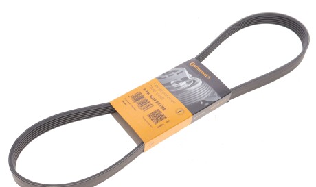 Фото 2 - Ремінь приводний Continental 6PK1034 EXTRA (6PK1034EXTRA)