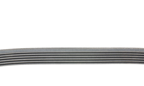 Фото 2 - Ремінь приводний Continental 6PK1042 ELAST (6PK1042ELAST)