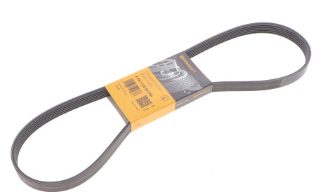 Фото 2 - Ремінь приводний Continental 6PK1120 EXTRA (6PK1120EXTRA)