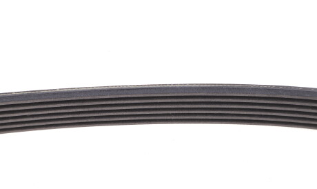 Фото 3 - Ремінь приводний Continental 6PK1120 EXTRA (6PK1120EXTRA)