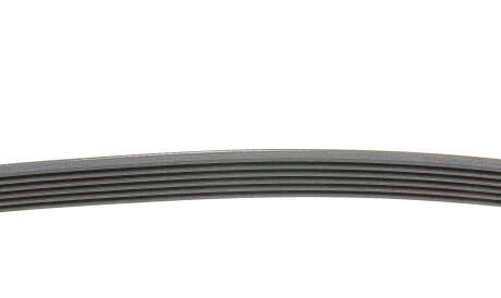 Фото 2 - Ремінь приводний Continental 6PK1138