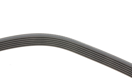 Фото 2 - Автозапчасть Continental 6PK1173K1