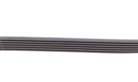 Фото 3 - Ремінь приводний Continental 6PK1185