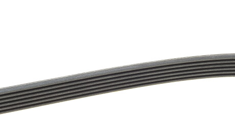 Фото 2 - Ремінь приводний Continental 6PK1195