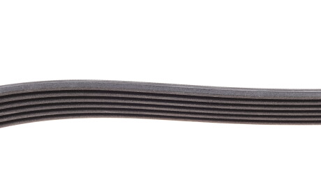 Фото 3 - Ремень приводной Continental 6PK1244