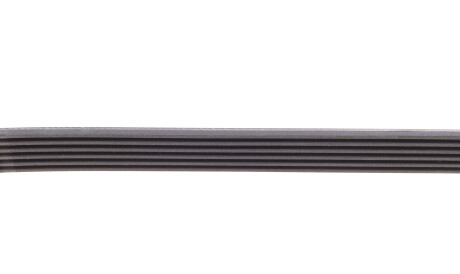 Фото 3 - Ремінь приводний Continental 6PK1250