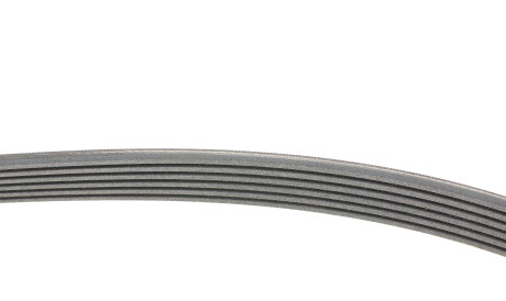 Фото 2 - Ремінь приводний Continental 6PK1256