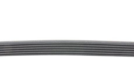 Фото 2 - Ремінь приводний Continental 6PK1264