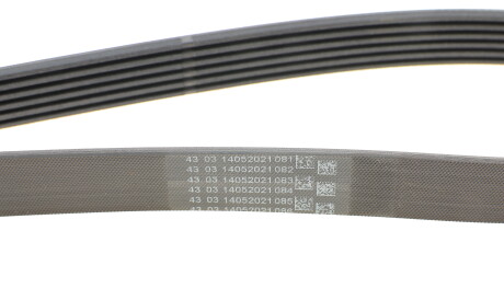 Фото 3 - Ремень приводной Continental 6PK1502 EXTRA (6PK1502EXTRA)