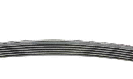 Фото 2 - Ремінь приводний Continental 6PK1564