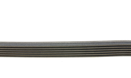Фото 2 - Ремінь приводний Continental 6PK1570