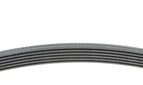 Фото 2 - Ремінь приводний Continental 6PK1600