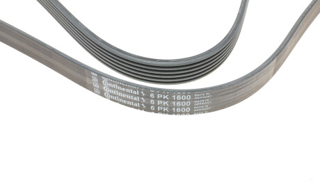 Фото 4 - Ремінь приводний Continental 6PK1600