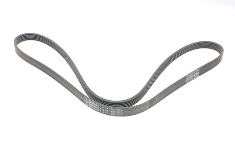 Фото 5 - Ремінь приводний Continental 6PK1600