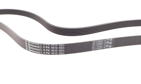 Фото 2 - Ремінь приводний Continental 6PK1613