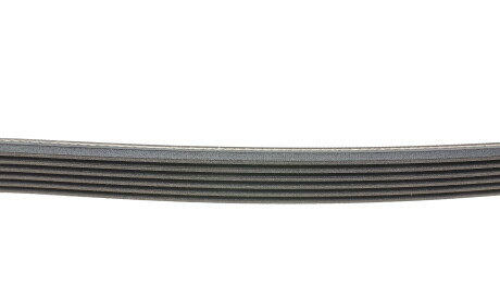 Фото 2 - Ремінь приводний Continental 6PK1670