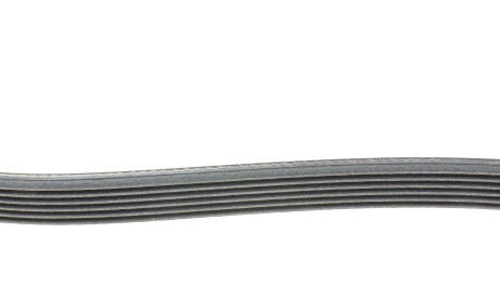 Фото 2 - Ремінь приводний Continental 6PK1680