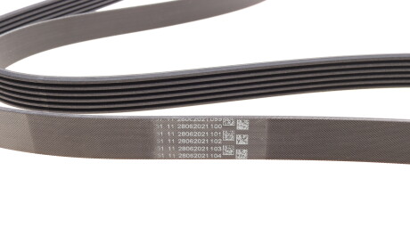 Фото 3 - Ремінь приводний Continental 6PK1693