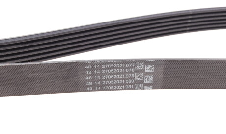 Фото 2 - Ремінь приводний Continental 6PK1698