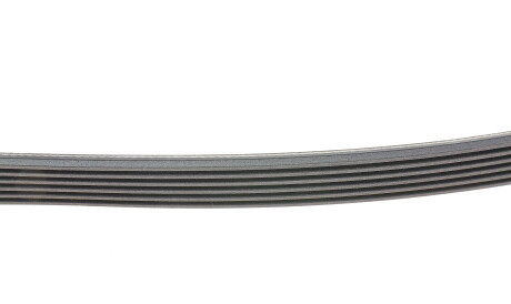 Фото 2 - Ремінь приводний Continental 6PK1725