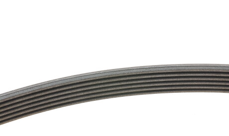 Фото 2 - Ремінь приводний Continental 6PK1743