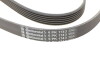 Ремінь генератора Peugeot 206/306/4007/406/4007/Citroen C5 1.9TD/2.0/2.2HDI 96-/Ford Galaxy 2.2 08- - Continental 6PK1743 (фото 4)
