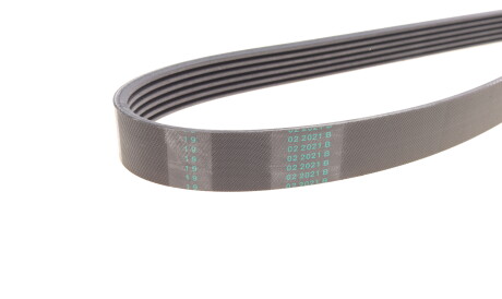 Фото 3 - Ремінь приводний Continental 6PK1755