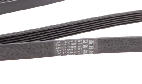 Фото 3 - Ремінь приводний Continental 6PK1815