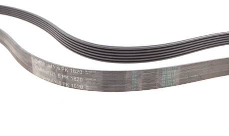 Фото 2 - Ремінь приводний Continental 6PK1820