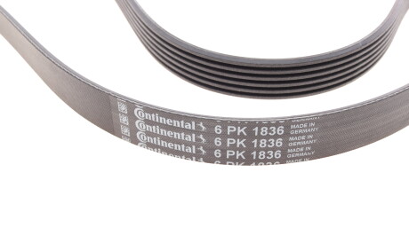 Фото 3 - Ремінь приводний Continental 6PK1836