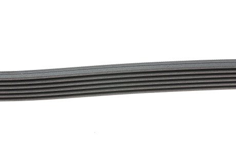 Фото 5 - Ремінь приводний Continental 6PK1905