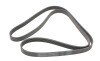 Ремень поликлиновый 6 рёбер 1905 мм (Opel Jeep Audi) - Continental 6PK1905 (фото 7)