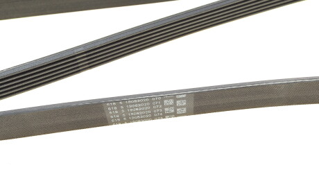 Фото 3 - Ремень приводной Continental 6PK2090